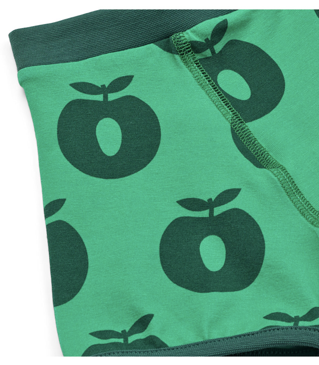 Elstar 2 pack of boys underwear